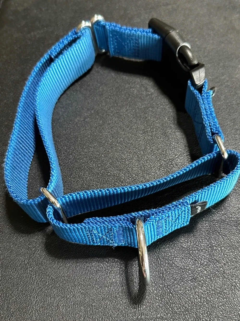Petsafe Large Blue Nylon New Dog Collar